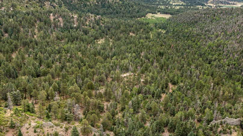 Copy of Los Alamos 508 6-24 Drone-26