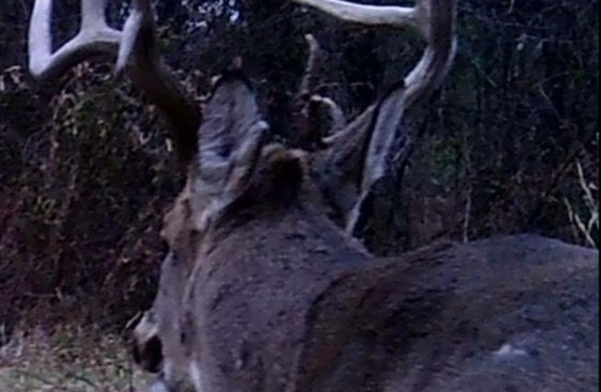 1 - 2026-01-07T104422.146