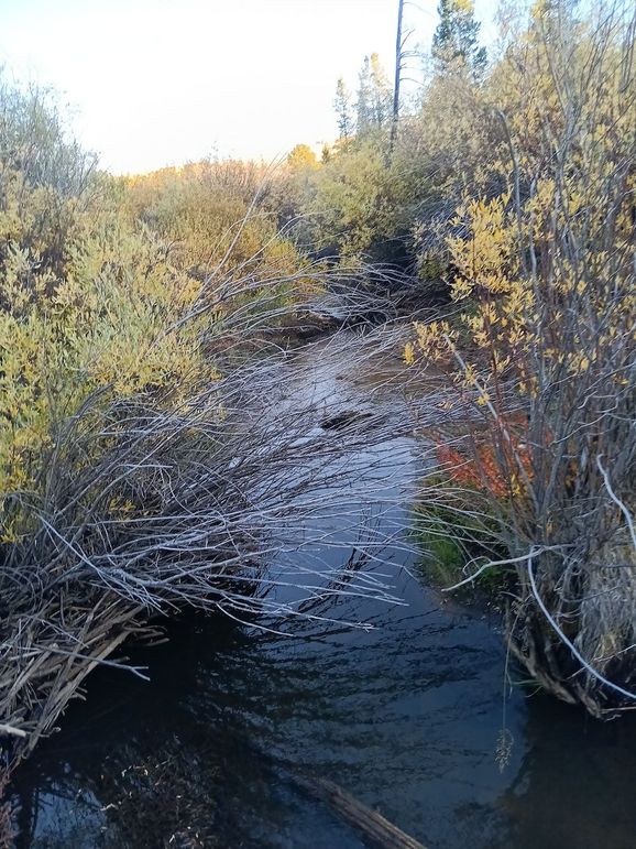 Resized_20250923_181831