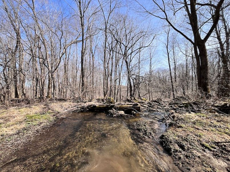 Lewis_26_Somberg Photo 51