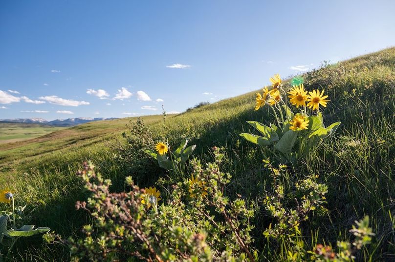 FE1DEA44-2B1D-49A8-9D9F-F424DCA2CC5C