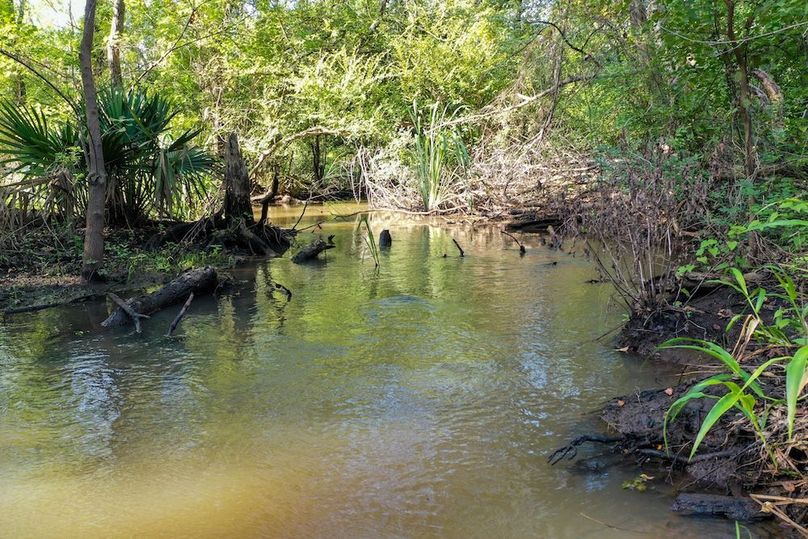 36 Leon Co. 117ac-02