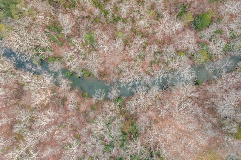 DJI_0770