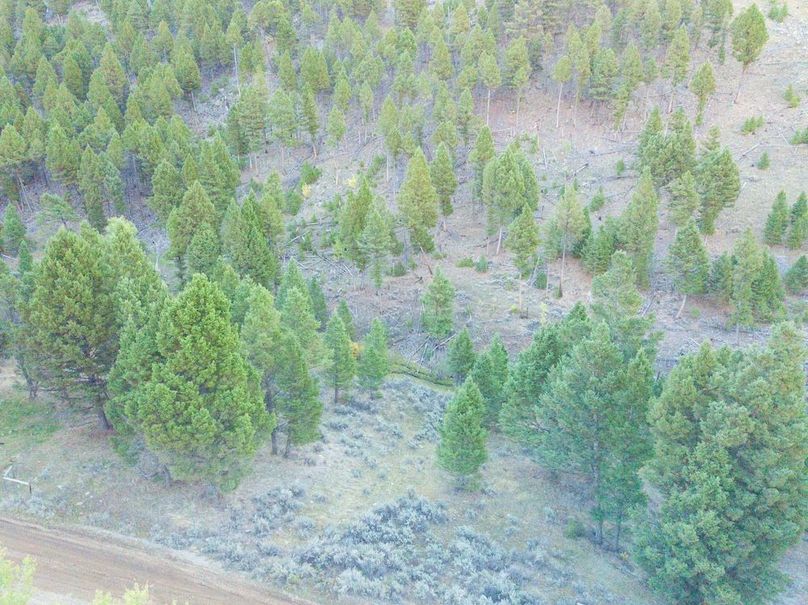 20240925-DJI_0134