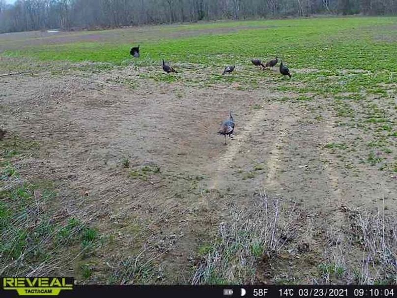 865519049947982-100-5-03232021091004-W1007165