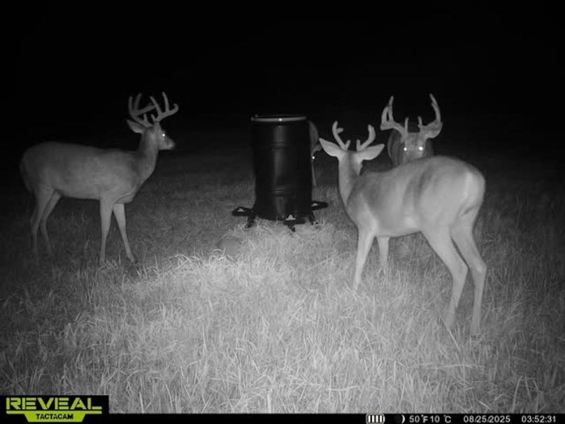 865509050128614-60-4-08252025035242-W1019042