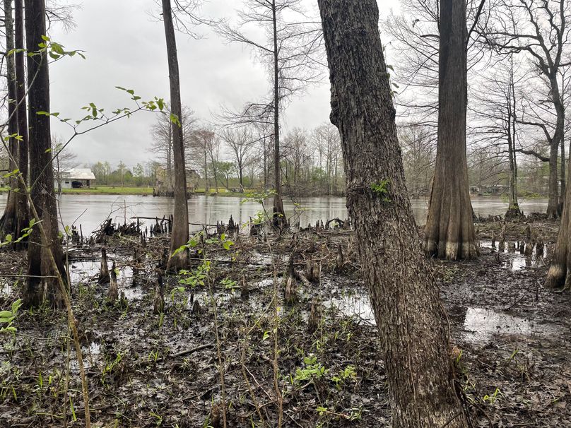 7BC1C147-2C6A-4BB2-9280-0D90444386B6