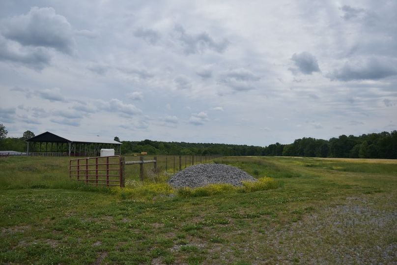 DSC_2590