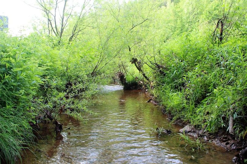 002 year-round stream along the eastern boundary