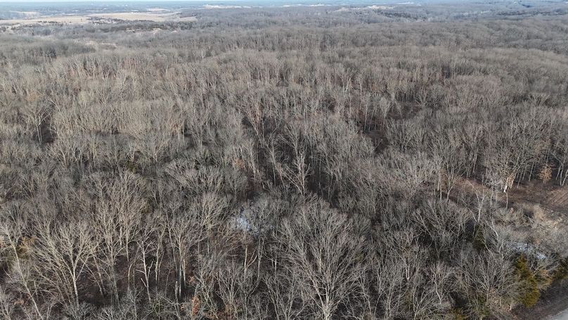 dji_fly_20260208_083754_0054_1770562335034_photo