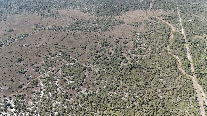 DJI_20251119124516_0985_D