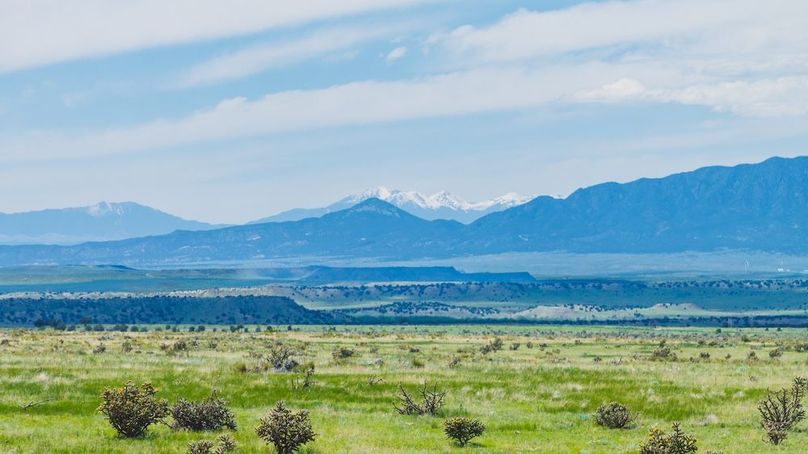 DJI_20240520161509_0157_D