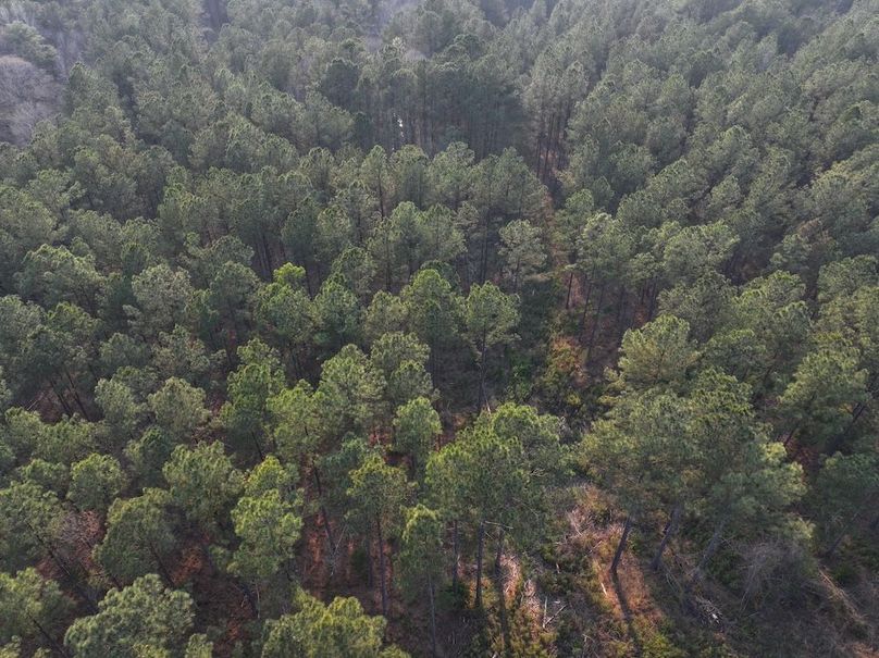 F049 - 117 Acres - Drone-3
