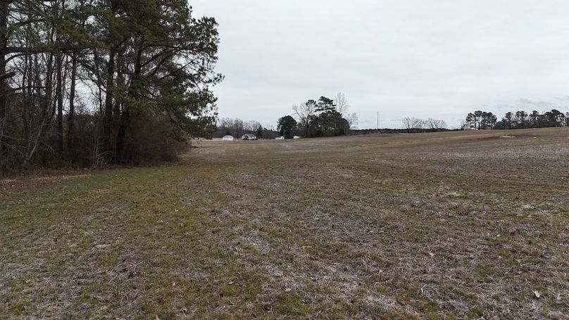 dji_fly_20260218_164510_0029_1771452056952_photo