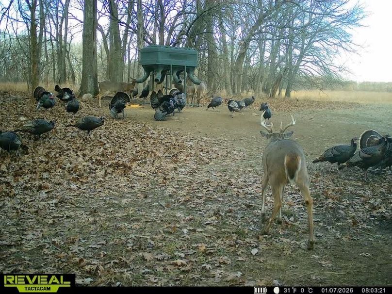 860322065946383-100-4-01072026080341-W1018711