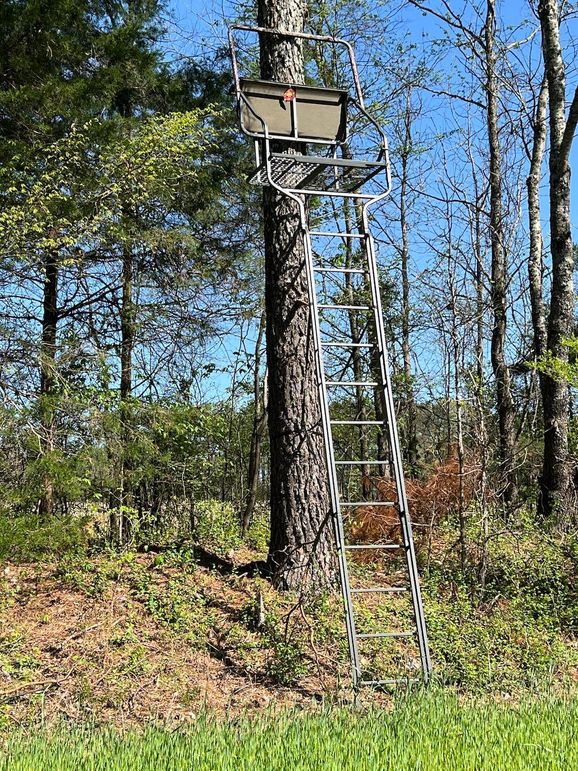 Ladder stand
