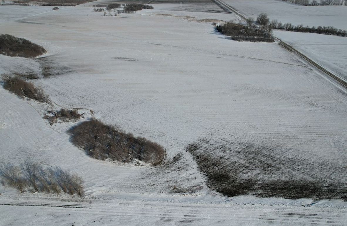 dji_fly_20260226_145034_84_1772139419892_photo