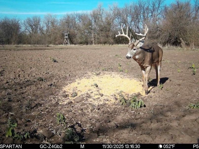 Jan_16_2026_2_37_33_3