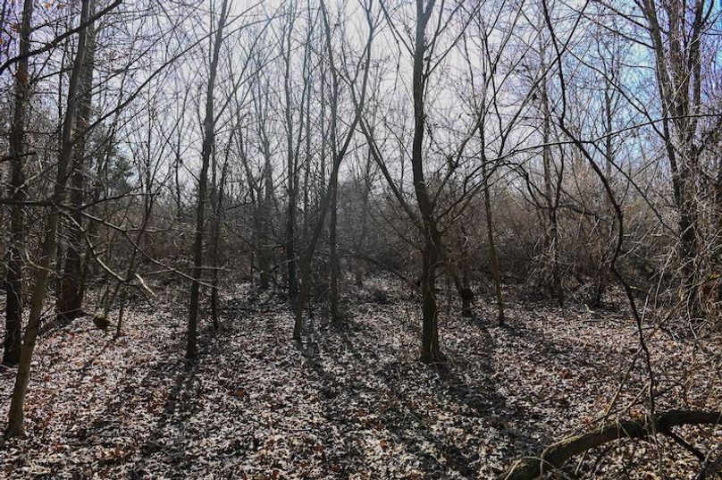 vandalia 450 (2)-1678