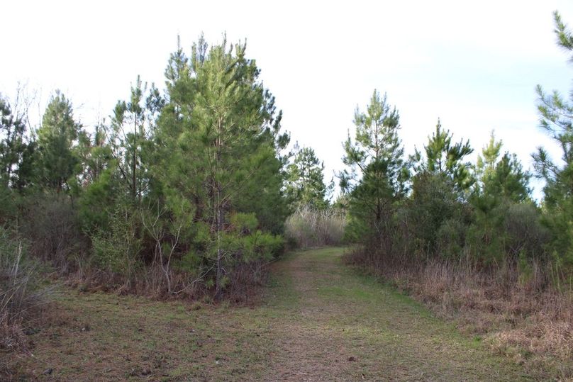 27CC10CC-55E1-49D0-92FB-7854008D0464_1_105_c