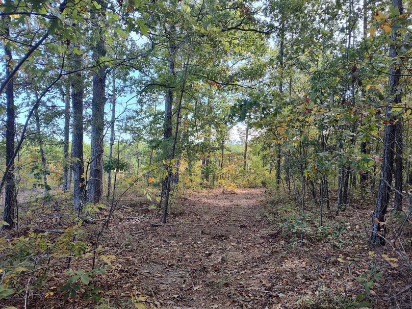 IMG_20231017_105050043_HDR