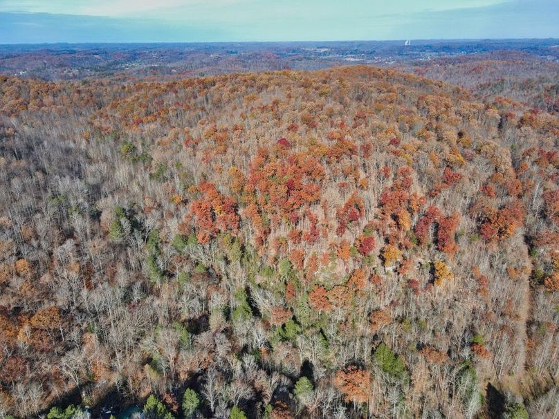 009 aerial view looking up the West hollow-2