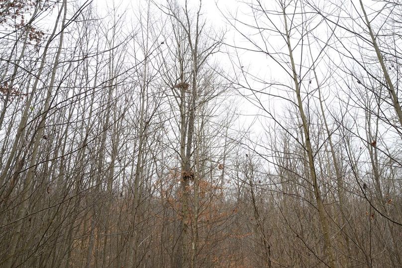 Copy of DSC_4554-Edit Large