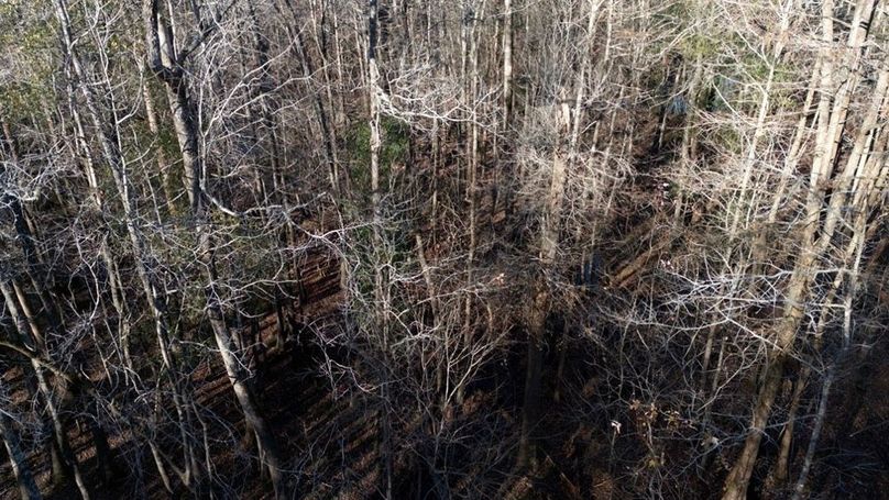 DJI_20251209145016_0010_D