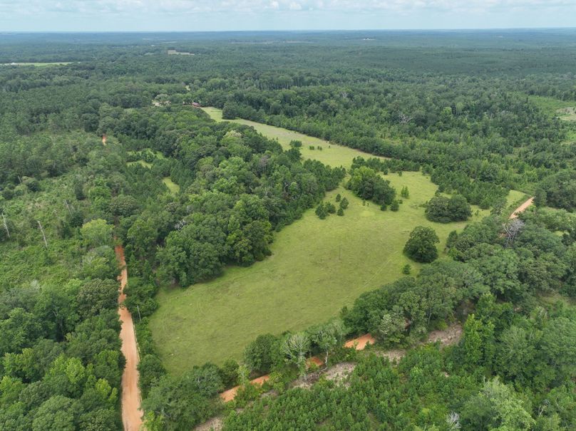 dji_fly_20230803_122338_477_1691080520248_photo