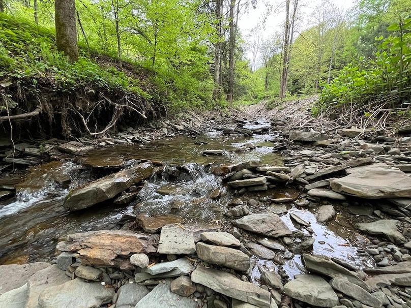 Tioga_78_Biada_Photos_101