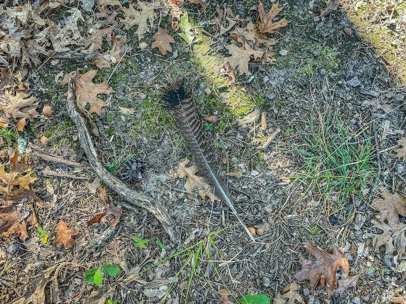 Juneau 27 Wiesner -069