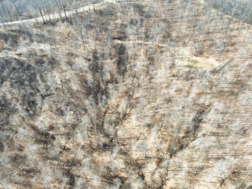 023 another great top down view of the trails and Northern food plot-2