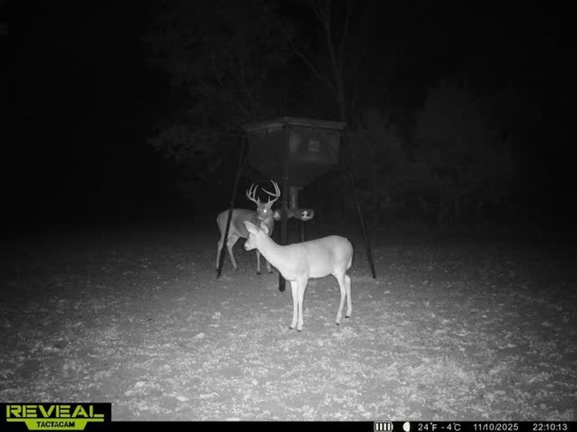 865509050100068-80-3-11102025221031-V-W1015018