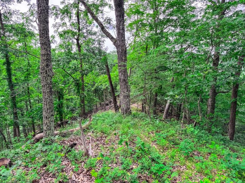 Wirt, WV 137.45 AC Full-34