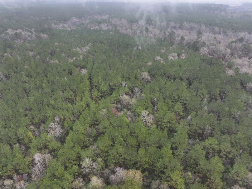 dji_fly_20260122_091128_0843_1769444817304_photo