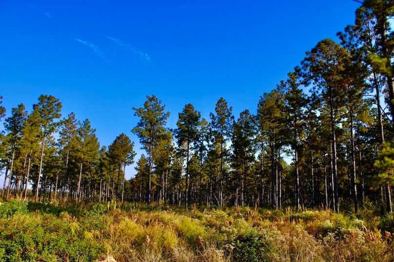 3721824A-EFFE-4C9B-8851-485A62B6F9A6_1_105_c