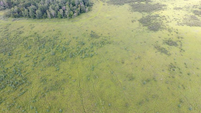 DJI_0005