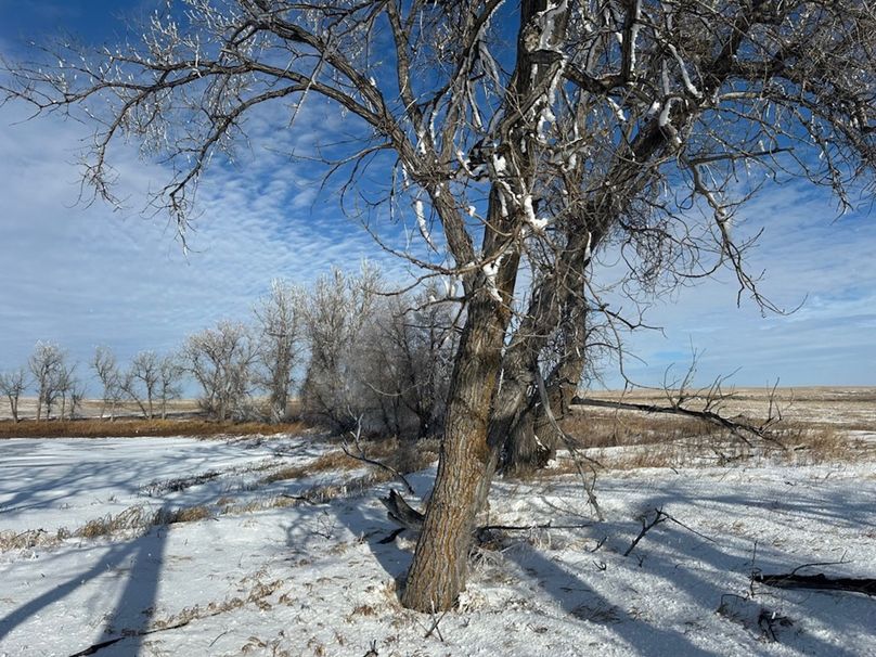 42FFC9BF-E14E-4906-A240-B053DD072825_1_105_c