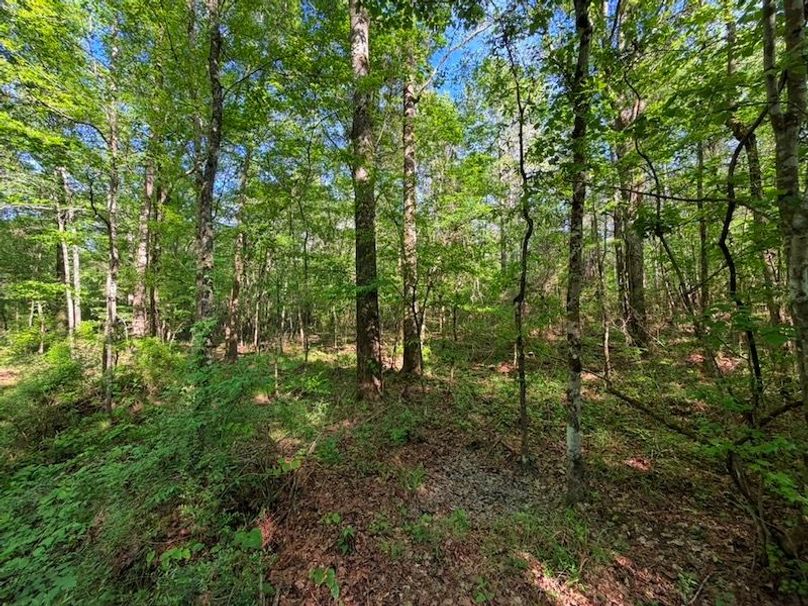 DD08A034-ACCA-49ED-9C31-03AF8D3BE571_1_105_c