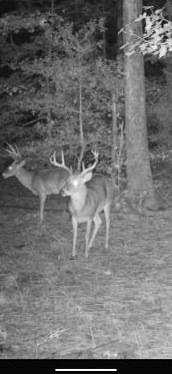 1A-TrailCam