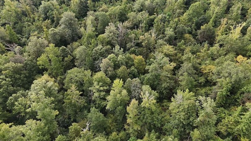 DJI_20250814092008_0062_D