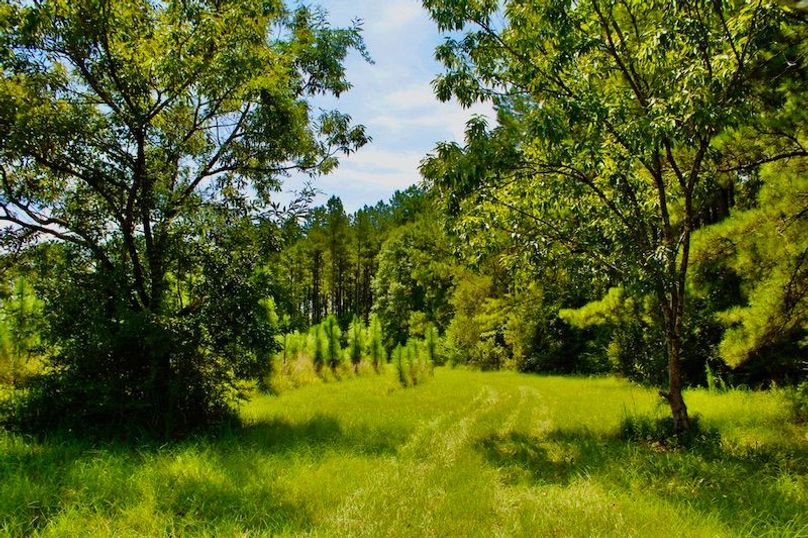 939EA76E-8A03-44AD-B037-230B995C0F0C_1_105_c