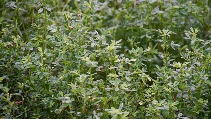 C91F6220-0CC2-4D9F-BB5D-34F787F8DDDD_1_105_c