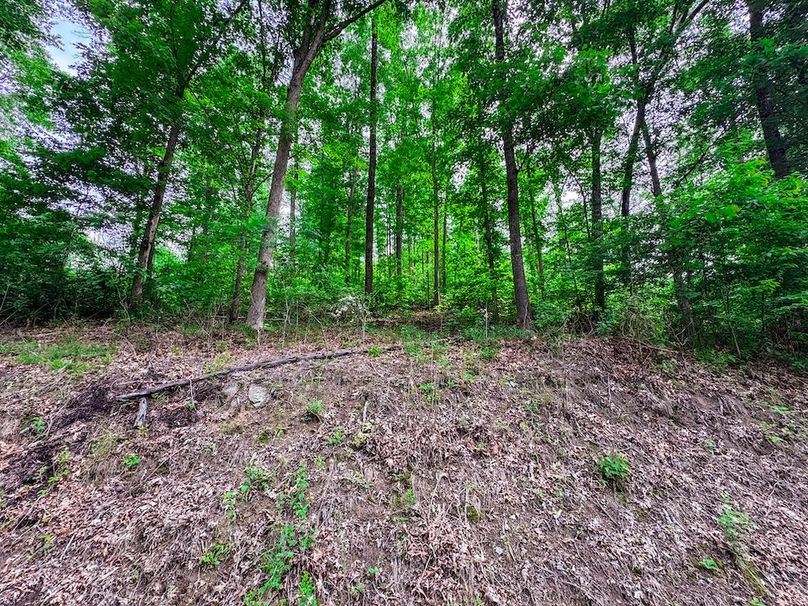 Clay, WV 14.839 AC-17