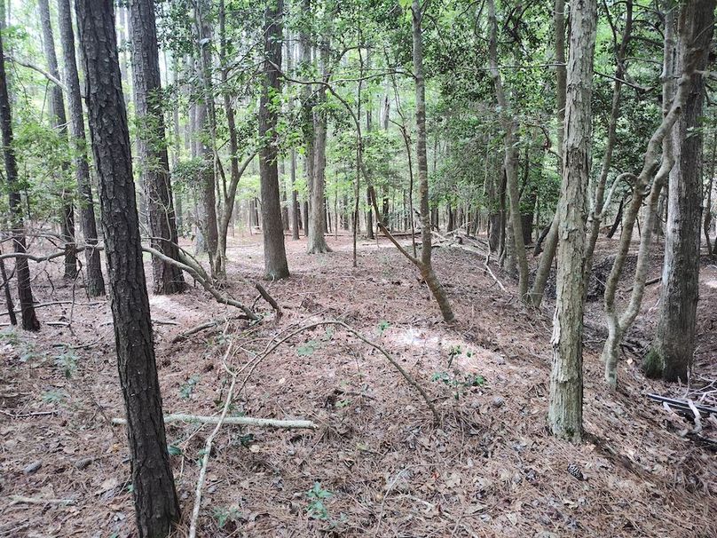 IMG_20250830_121740736