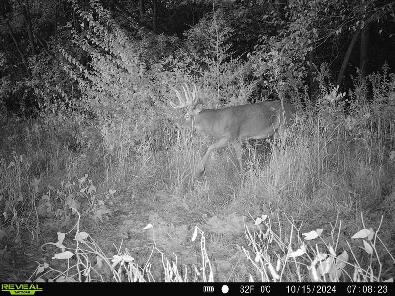 Copy of 860322065657444-100-4-10152024144552-HD-SYFW1909