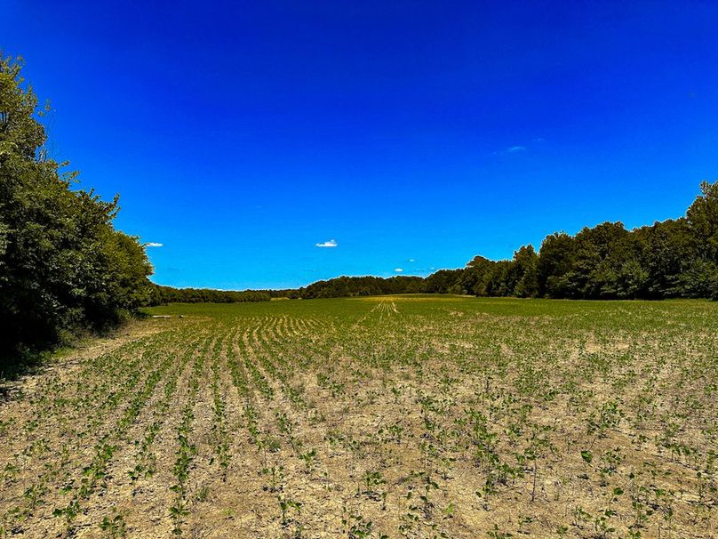 Chickasaw 160 Porter-14