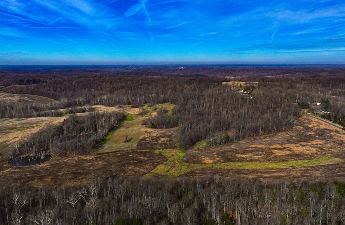 dji_fly_20260321_100734_0016_1774103524097_photo