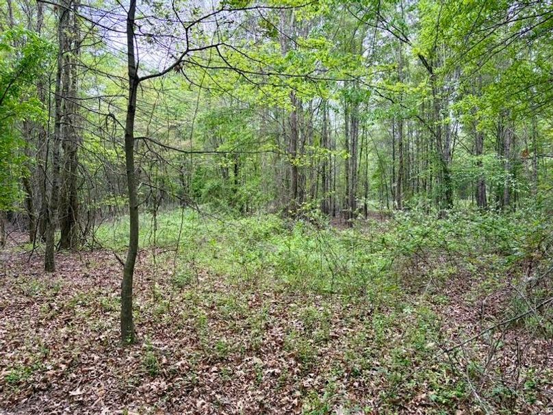 57A77C8E-AC9C-4618-A4CA-FEF16800D693_1_105_c