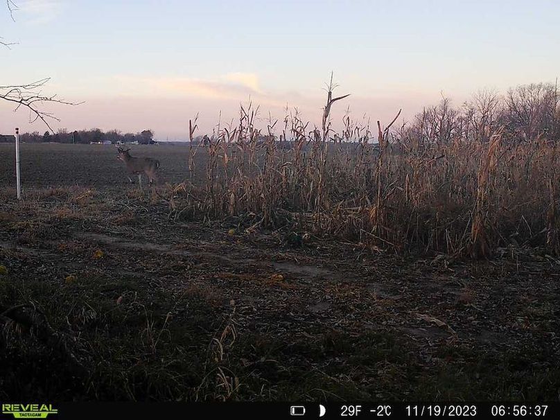 860322064829176-1-4-11192023065636-V-W1008792